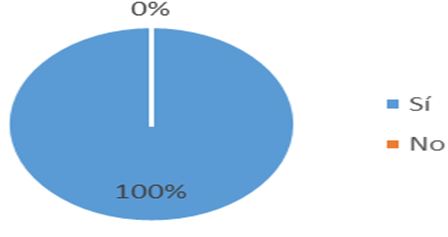 Gráfico, Gráfico circular

Descripción generada automáticamente