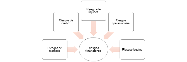 Figura Riesgos Financieros