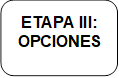 ETAPA III: OPCIONES